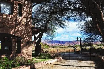 En Cafayate. Salta. Argentina jigsaw puzzle