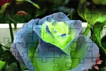 imagens jigsaw puzzle