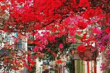 Nafplio-Peloponeso(Grecia) jigsaw puzzle