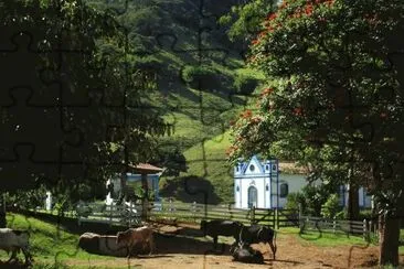 campo