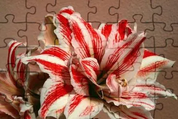 flor