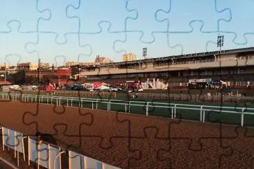 Early Morning at Racecourse