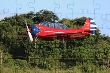 Low flying Yak jigsaw puzzle