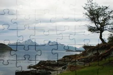 En Tierra del Fuego. Argentina jigsaw puzzle