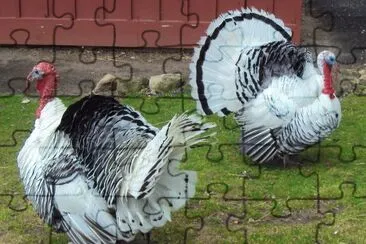 CenÃ¡rio jigsaw puzzle