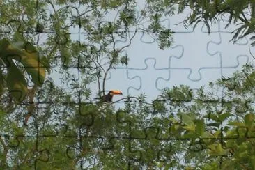 tucÃ¡n jigsaw puzzle