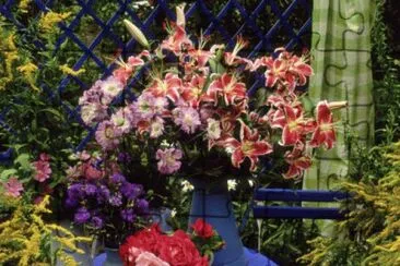 Pretty Floral Display in Lush Garden