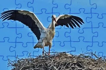 פאזל של fliegen lernen  / murimoos