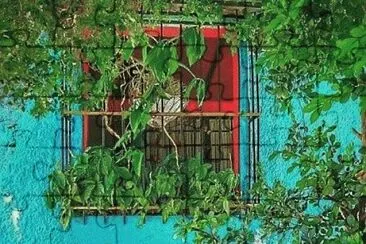 pared