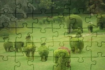 imagens jigsaw puzzle