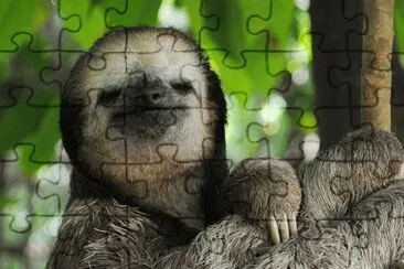 30 jigsaw puzzle