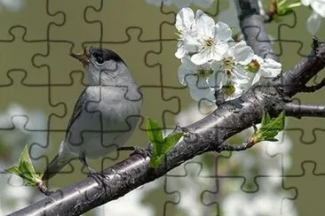 46 jigsaw puzzle