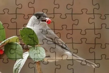 47 jigsaw puzzle