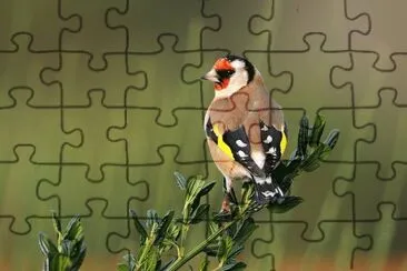 53 jigsaw puzzle