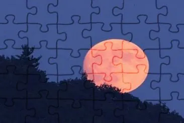 augus 4 jigsaw puzzle