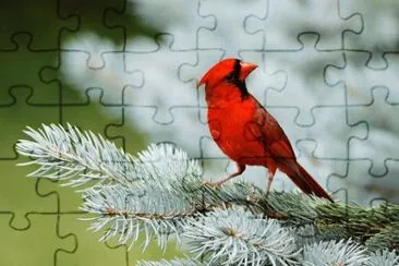 55 jigsaw puzzle