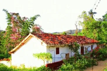 casa con jardines