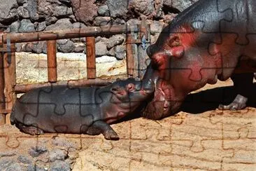 פאזל של mutter und kind / fuerteventura