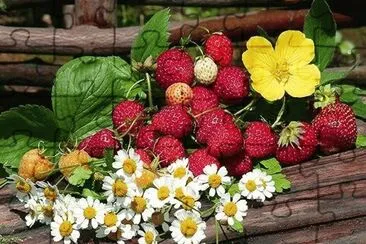 Obst