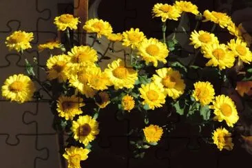 פאזל של Margaridas Amarelas
