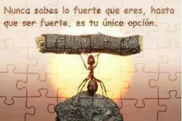 se fuerte jigsaw puzzle
