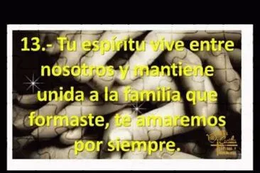 vive