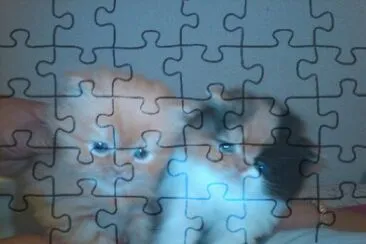 rayo y luna jigsaw puzzle