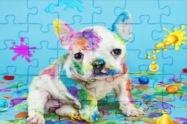 perro de colores jigsaw puzzle