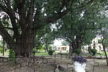 Santa Ana de los GuÃ¡caras. Corrientes. Argentina jigsaw puzzle