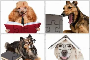 Perros inteligentes jigsaw puzzle