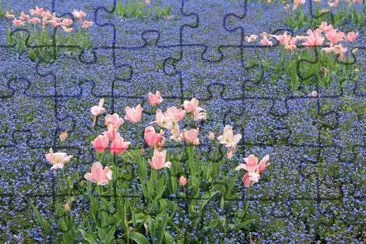 primavera jigsaw puzzle