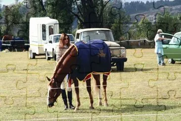 Dressage 7