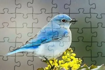 Brume jigsaw puzzle