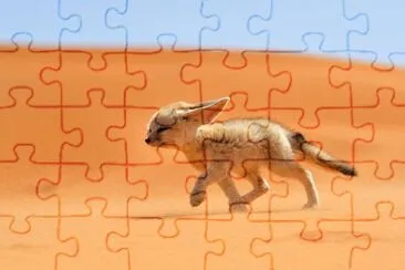 ××•×¡×£