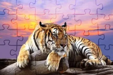 ××•×¡×£ jigsaw puzzle