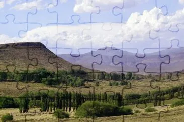 A la vera de la RN 40. NeuquÃ©n. Argentina