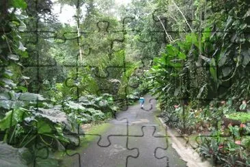 Garden Path - Guadalupe