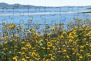 Flowers along the beach jigsaw puzzle