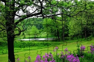 Landschaft