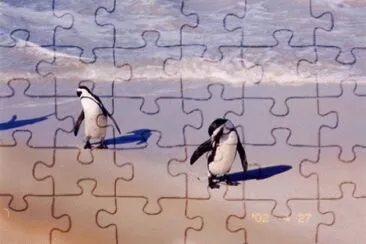 katrina3051 jigsaw puzzle