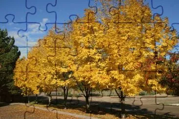 Fall Colours,Alberta jigsaw puzzle