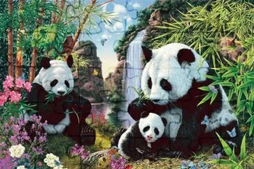 urso jigsaw puzzle