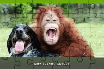 MUY BUENOS AMIGOS jigsaw puzzle