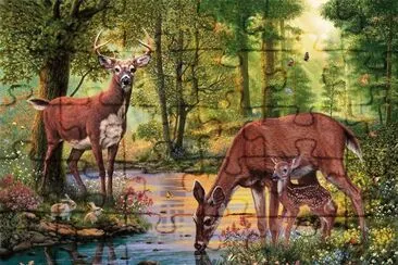 bichos jigsaw puzzle