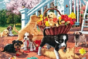 cachorrinhos