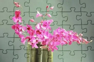flores 18