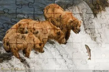 ××•×¡×£ ×—×“×© jigsaw puzzle