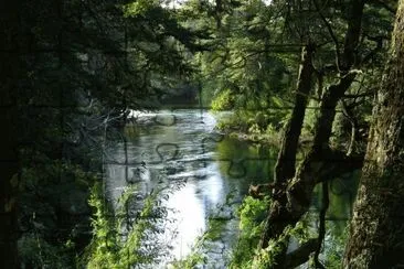 RÃ­o Manso. Provincia de RÃ­o Negro. Argentina jigsaw puzzle