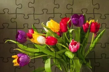 flores 27