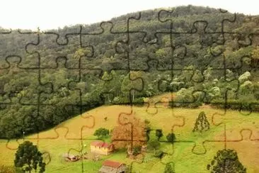 imagens